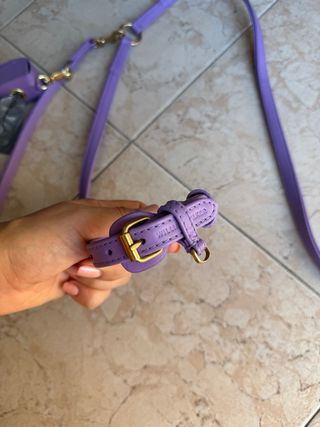 Collare e guinzaglio per cani in pelle