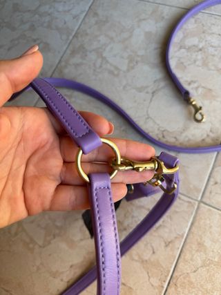 Collare e guinzaglio per cani in pelle