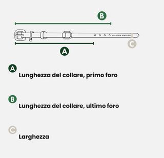 Collare e guinzaglio per cani in pelle
