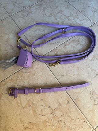 Collare e guinzaglio per cani in pelle