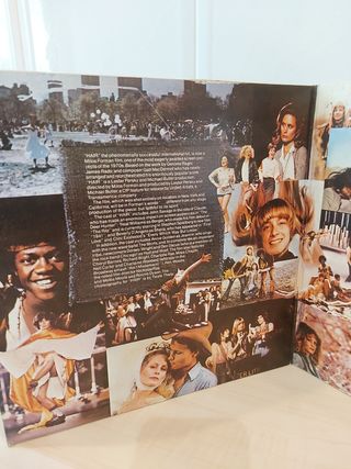 Banda Sonora Hair - Doble Vinilo