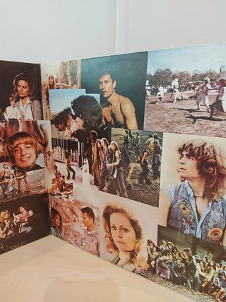 Banda Sonora Hair - Doble Vinilo