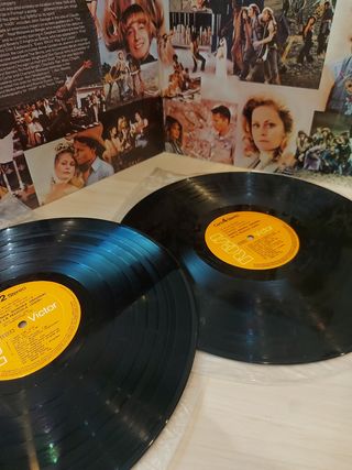 Banda Sonora Hair - Doble Vinilo