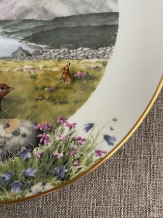 Plato Royal Worcester Edicion Limitada