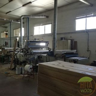 Tarima Elondo: Parquet 1 lama satinado