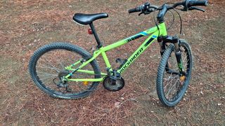 Bicicletta Mountain bike