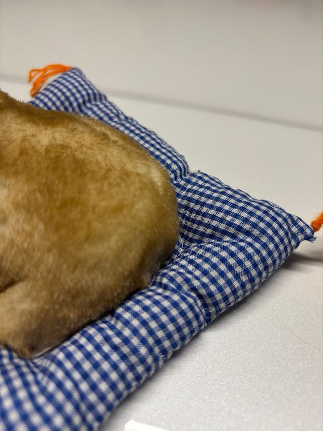 Gato dormido de peluche artesanal