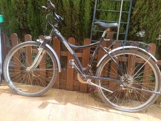 Bicicleta paseo