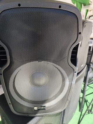 Altabox autoamplificdo 15" 400/500w