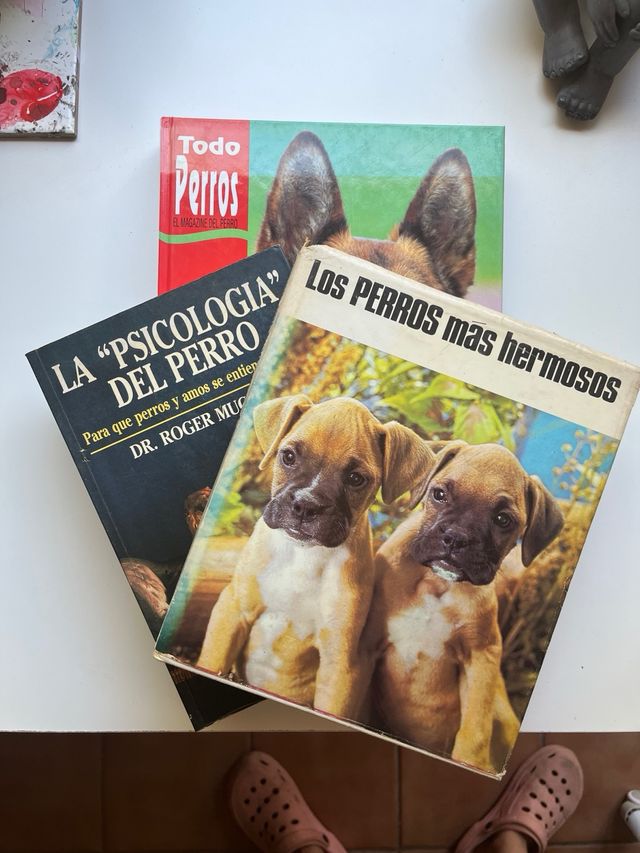 Libros sobre perros