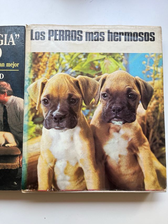 Libros sobre perros