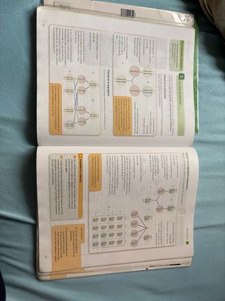 Biologia I Geologia, 4 Eso