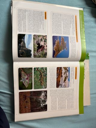 Biologia I Geologia, 4 Eso