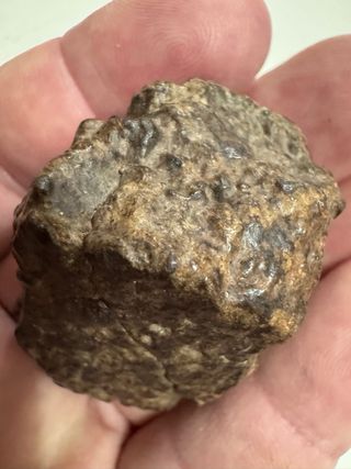 Meteorito Condrita
SOLO HOY