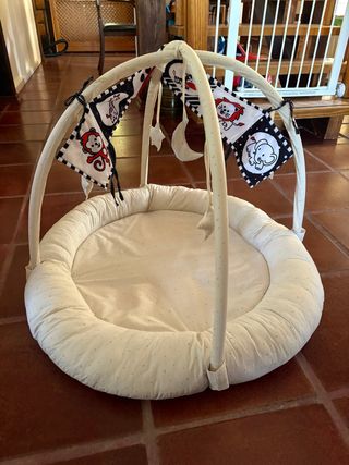 Gimnasio Bebé Infantil