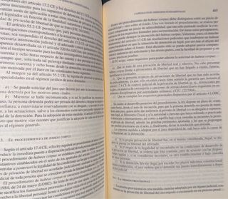 Manual de Derecho Constitucional
