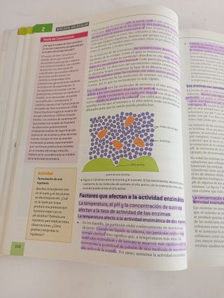 Biología - Bachillerato Internacional - 9780198338734