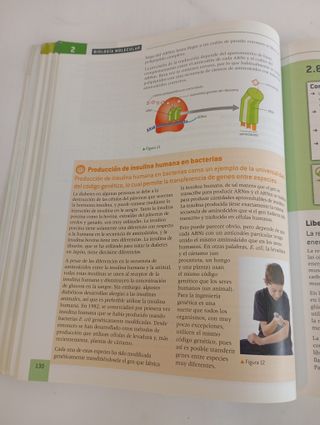 Biología - Bachillerato Internacional - 9780198338734