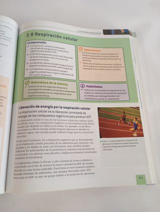 Biología - Bachillerato Internacional - 9780198338734