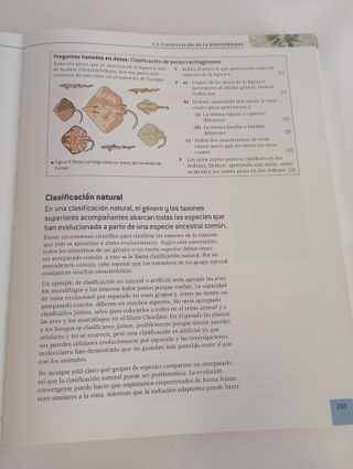 Biología - Bachillerato Internacional - 9780198338734