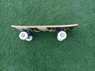 Mini Skateboard