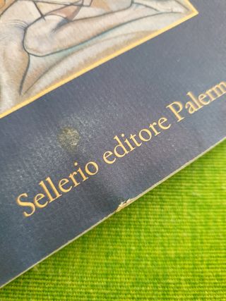 La Danza Del Gabbiano (Italian Edition)