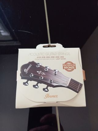 Guitarra Ibáñez AEG10EBK1202