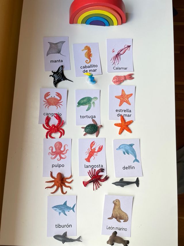 Tarjetas animales marinos + figuras montessori