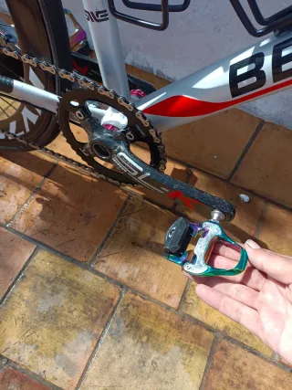 Bicicleta carretera BERGAMONT L