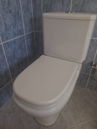 Sanita + bidé + torneira ROCA
