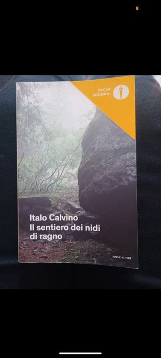 Il sentiero dei nidi di ragno