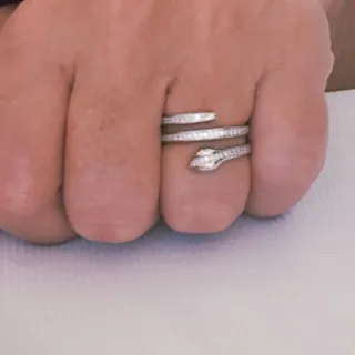 Anillo serpiente plata de ley