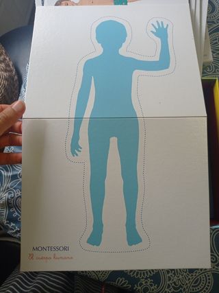 Montessori: El cuerpo humano