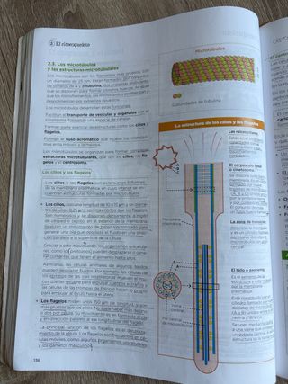 Libro de biología 2º bachillerato 