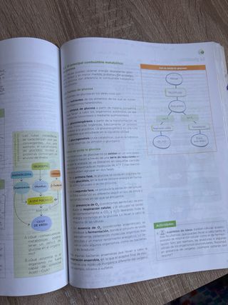Libro de biología 2º bachillerato 