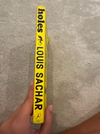 Holes book