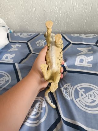 Figura Decorativa Tigre