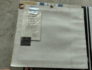 Quadro in lamina d'argento con certificato