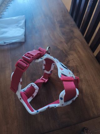 Arnés perro DINGKE - Rojo y Blanco