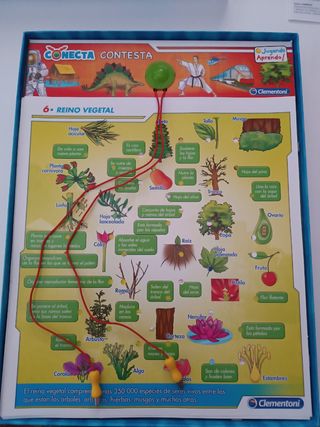Juegos educativos: Multiplicar y Enciclopedia