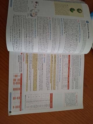 Física y Química 1º Bachillerato. Libro del est...
