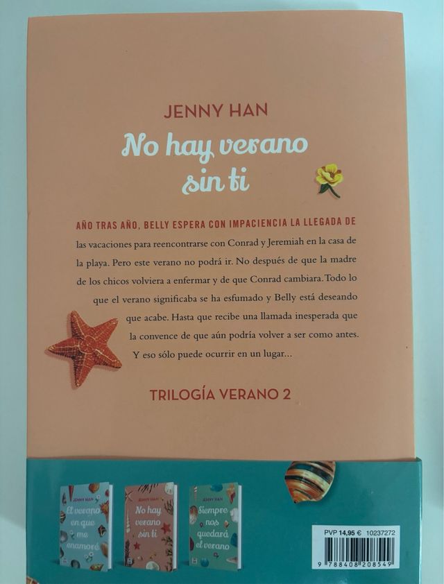 Trilogia el verano en que me enamoré