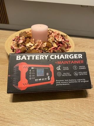 Cargador y mantenedor de baterías 12V