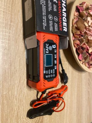 Cargador y mantenedor de baterías 12V