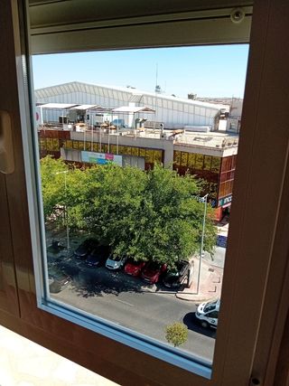 Limpieza de cristales y pisos.