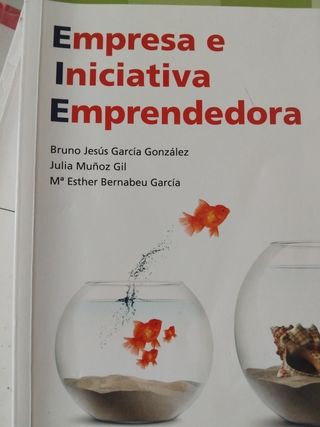 EMPRESA E INICIATIVA EMPRENDEDORA