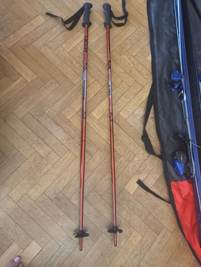 Palos esquí Locust Technical