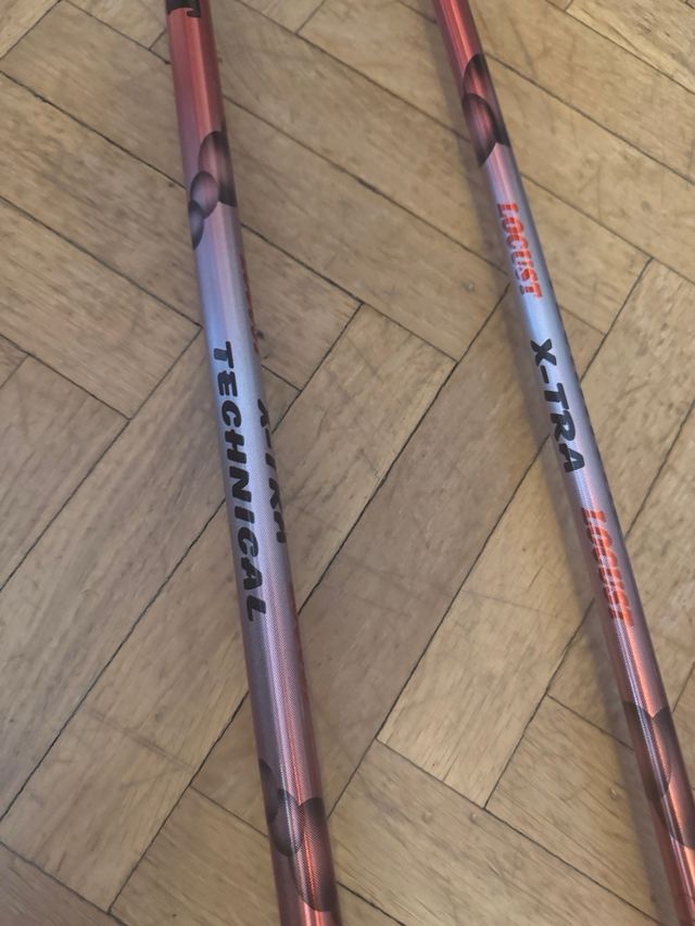 Palos esquí Locust Technical