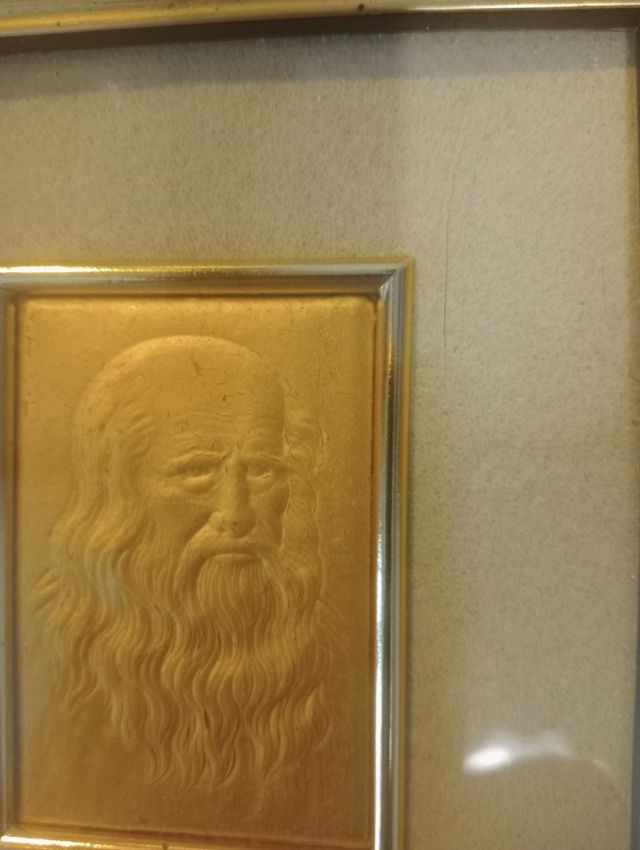 Quadro Leonardo da Vinci in rilievo
