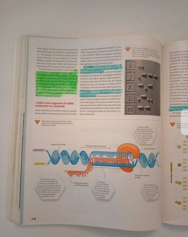 Introduzione alla biologia.azzurro 2019